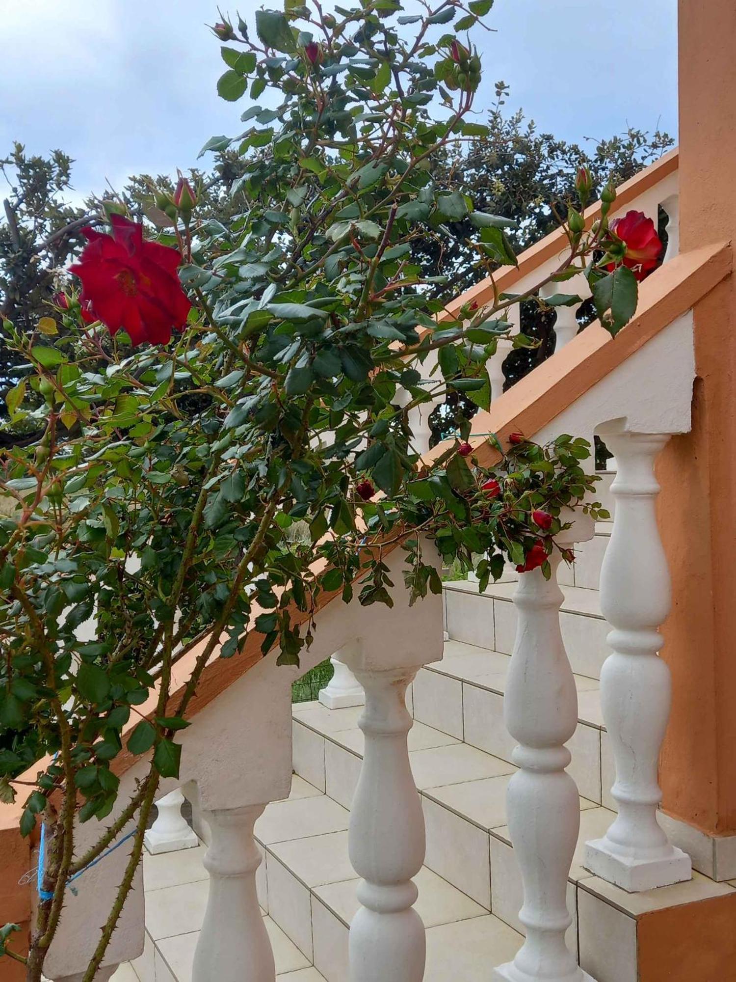 Apartments In Rab - Insel Rab 39950 Mundanije Екстериор снимка